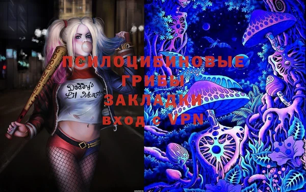 стафф Абдулино