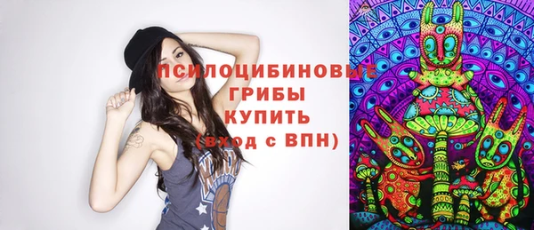 прущие грибы Алзамай