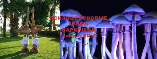 прущие грибы Алзамай