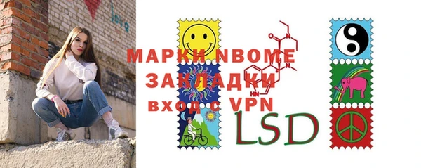 прущие грибы Алзамай