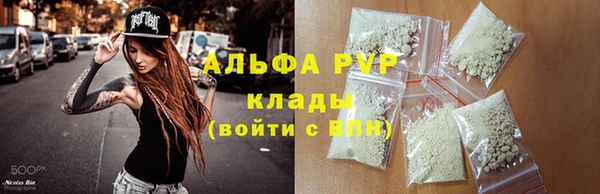прущие грибы Алзамай