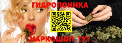 альфа пвп Ачхой-Мартан