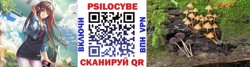 где можно купить наркотик  Алексин  Псилоцибиновые грибы GOLDEN TEACHER 