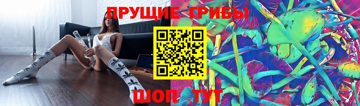 Галлюциногенные грибы MAGIC MUSHROOMS  Псилоцибиновые грибы мицелий  Вход с VPN  Алексин 